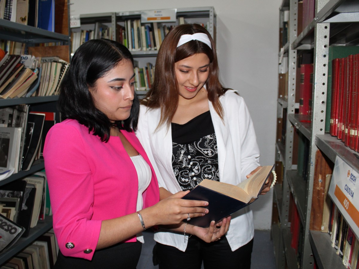 Licenciatura en Derecho